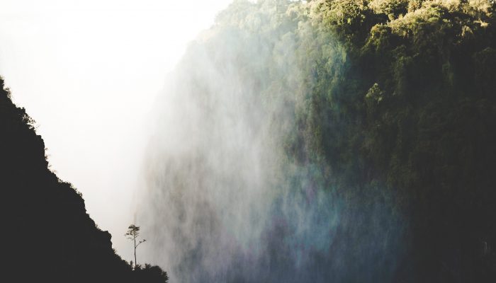 Re-Living the Second Chimurenga: Review Featured Image