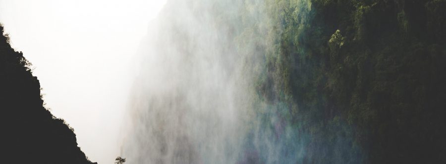 Re-Living the Second Chimurenga: Review Featured Image