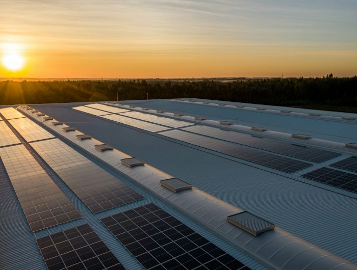 Why Your Business Should Consider Commercial Solar Panel Installation in Ireland