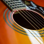Olivia Rodrigo Versace archive