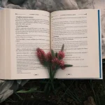 An open book displayed outdoors on floral fabric with red flowers placed on top
