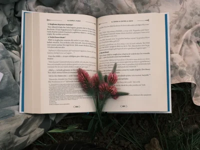 An open book displayed outdoors on floral fabric with red flowers placed on top